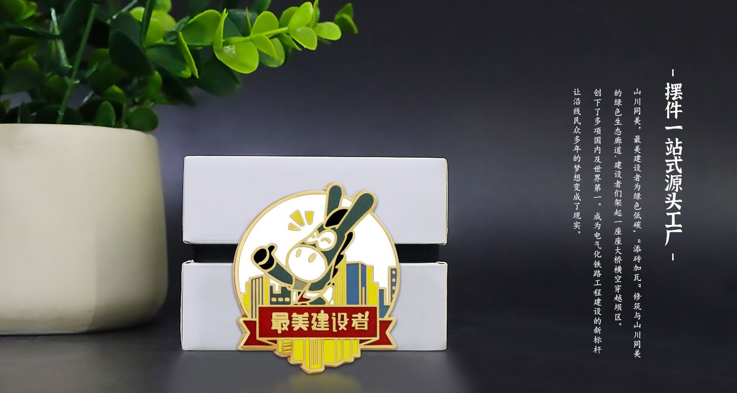最美建设者徽章312.jpg