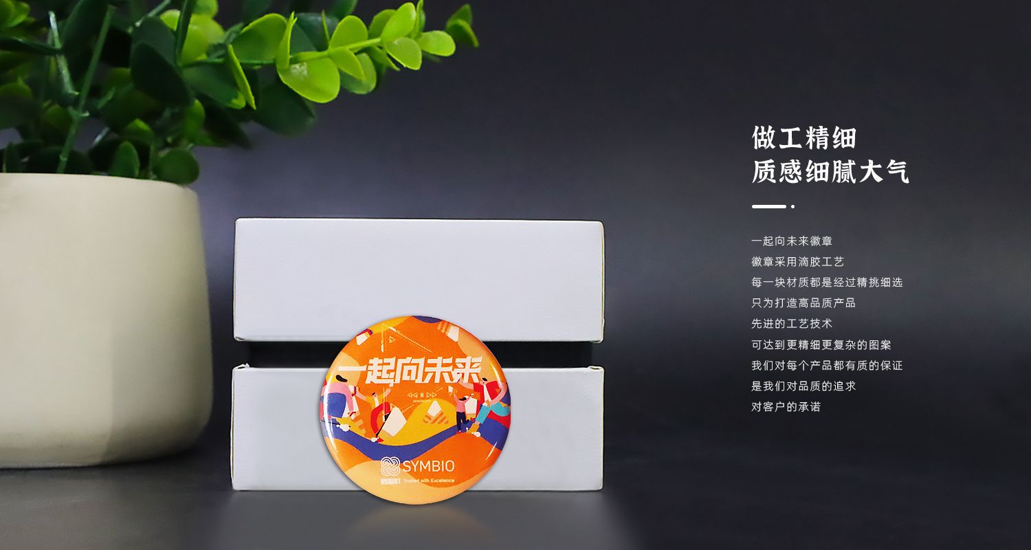 一起向未来徽章129.jpg